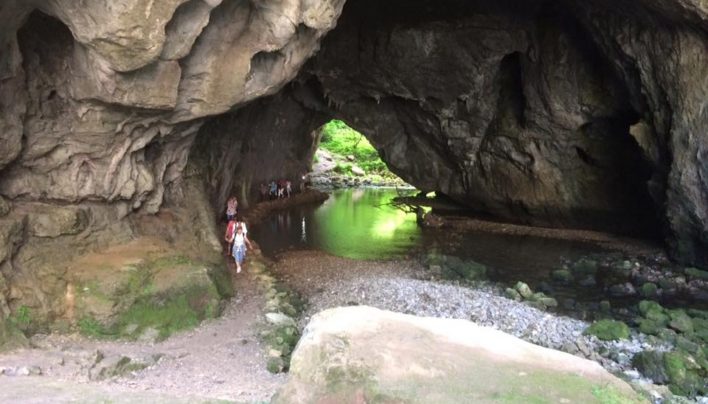 Ko drevesa spregovorijo