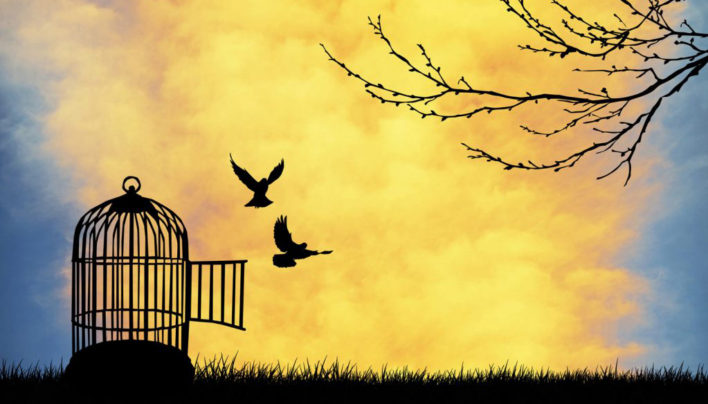 Razraševanje travm, ujetosti, z drogami izzvanih scenarijev, perfekcionizma